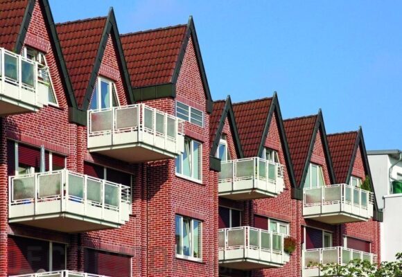 Кирпич керамический пустотелый Lode Robis гладкий, 250*85*65 мм — изображение 2