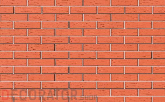 Кирпич лицевой керамический BRAER пустотелый красный риф, 250*85*65 мм