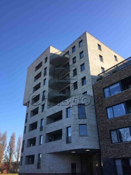 Кирпич ручной формовки ENGELS Carthago Carrera, 215*45-50*65 мм — изображение 3